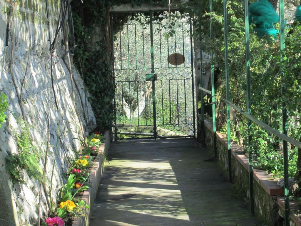 Bed and Breakfast L'Uliveto Positano Exterior foto