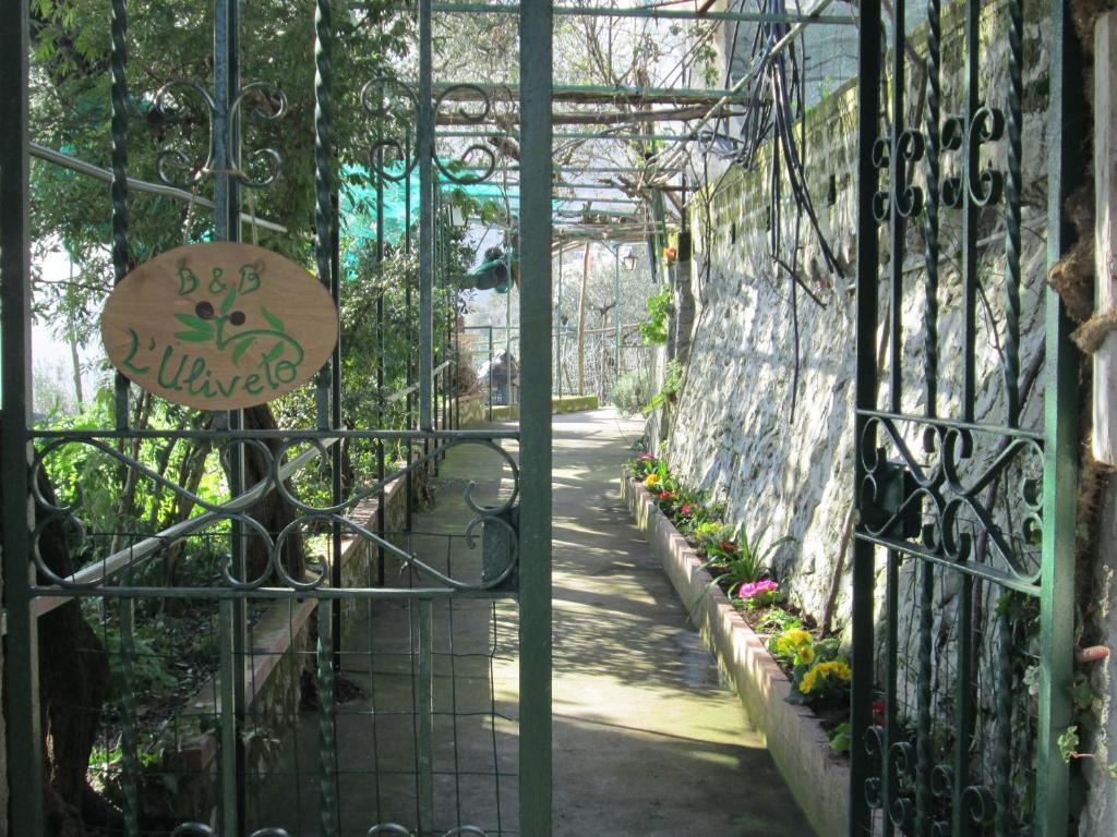 Bed and Breakfast L'Uliveto Positano Exterior foto