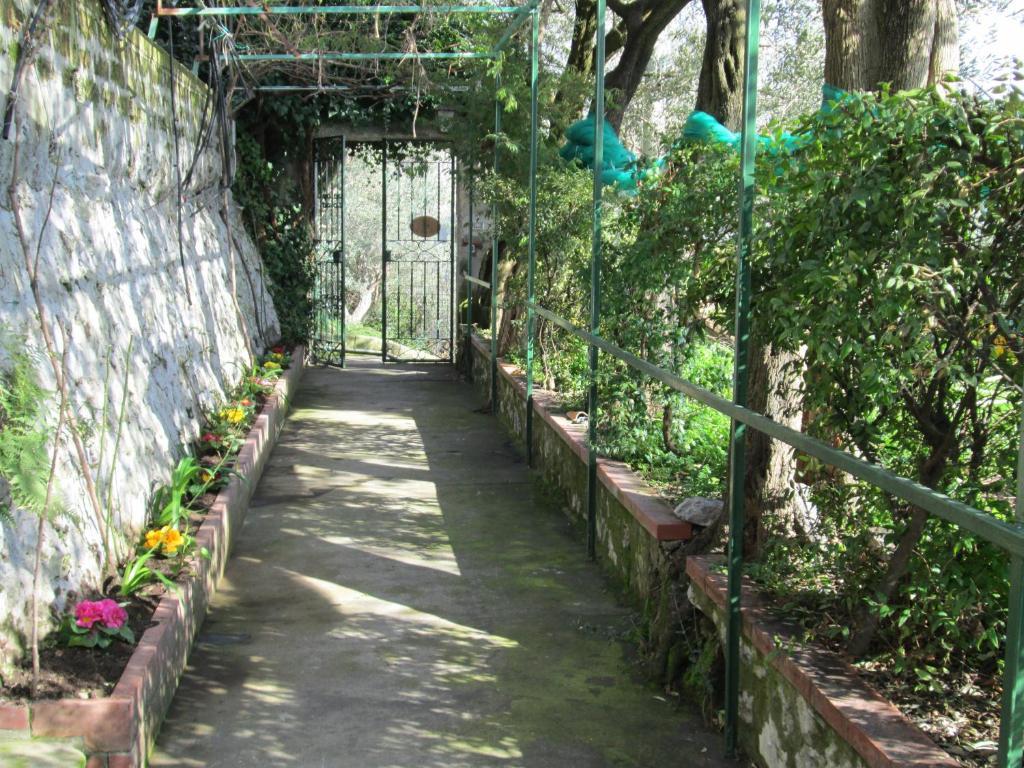 Bed and Breakfast L'Uliveto Positano Exterior foto