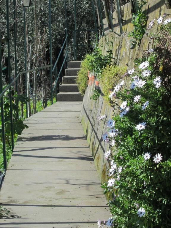 Bed and Breakfast L'Uliveto Positano Exterior foto